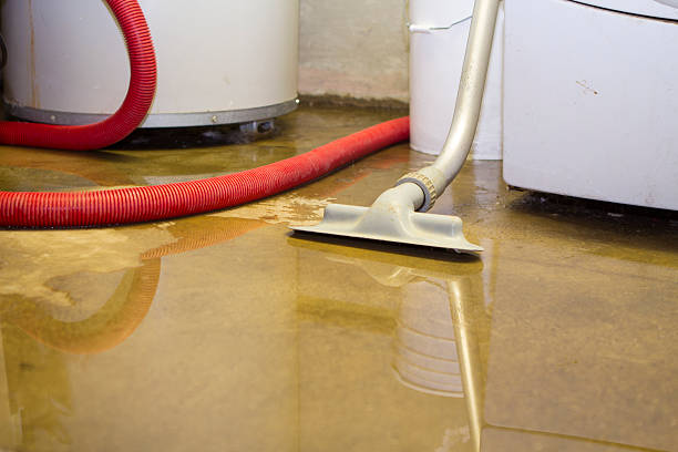 Best Flood restoration services  in Flomaton, AL