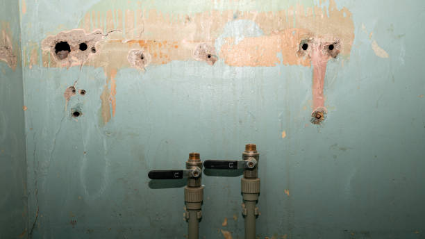Best Residential water damage restoration  in Flomaton, AL