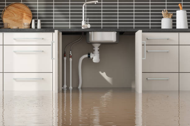 Best Fire Damage Restoration  in Flomaton, AL