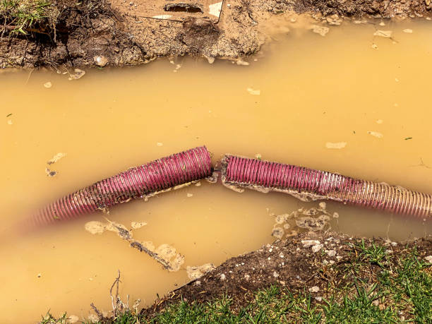 Best Water damage cleanup near me  in Flomaton, AL