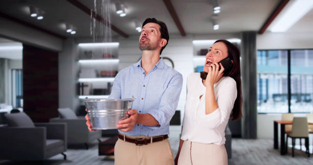 Best Water damage contractors near me  in Flomaton, AL