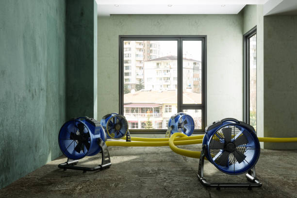 Best Carpet water damage restoration  in Flomaton, AL