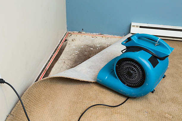 Best Local water damage restoration  in Flomaton, AL